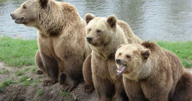 These 3 Crypto Stocks Now Sit on Tech’s ‘Stealth’ Bear Market List