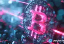 OpenSea faces push for Bitcoin Ordinals and Runes trading support
