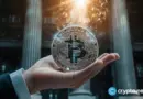 Can BTC recover after the Fed decision?
