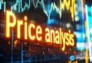 LayerZero price gains 24% in a week: What’s next?