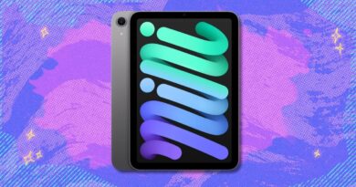Best Apple deal: Save $29.01 on the 128GB iPad mini (A17 Pro, WiFi)