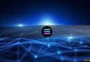 Solana Sets Monthly Record as Stablecoin Volume Hits $650B